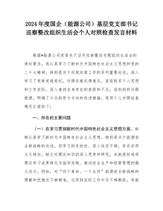 2024年度国企（能源公司）基层党支部书记巡察整改组织生活会个人对照检查发言材料.docx