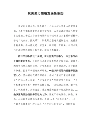 聚焦聚力塑造发展新生态.docx