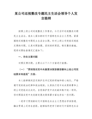 某公司巡视整改专题民主SH会领导个人发言提纲.docx