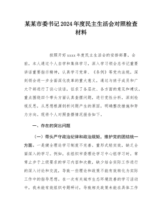 某某市委书记2024年度民主SH会对照检查材料.docx