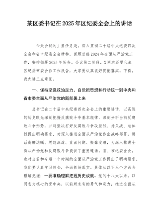 某区委书记在2025年区纪委全会上的讲话.docx