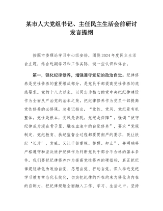 某市人大党组书记、主任民主SH会前研讨发言提纲.docx