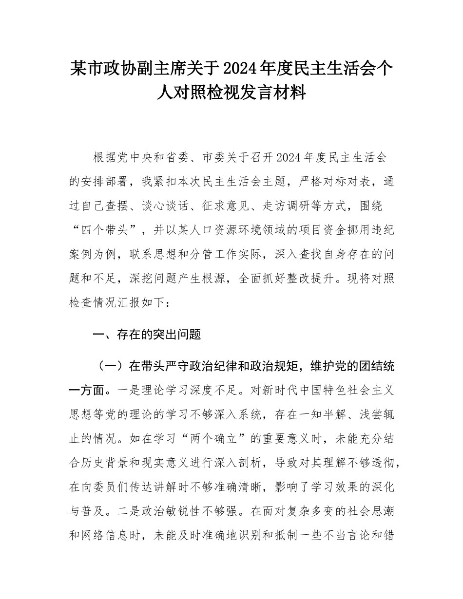 某市政协副主席关于2024年度民主SH会个人对照检视发言材料.docx_第1页