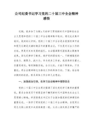 公司纪委书记学习党的二十届三中全会精神感悟.docx