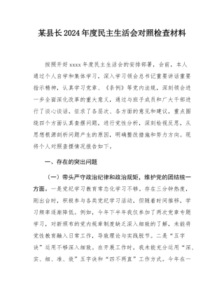 某县长2024年度民主SH会对照检查材料.docx