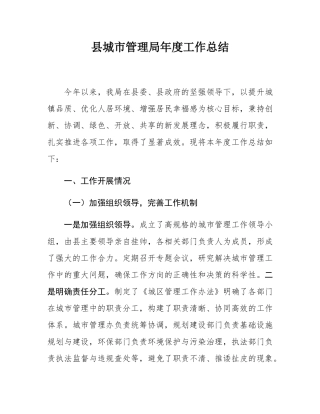 县城市管理局年度工作总结.docx
