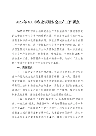 2025年XX市农业领域安全生产工作要点.docx