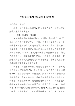 2025年丰乐镇政府工作报告.docx