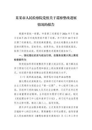 某某市人民检察院党组关于巡察整改进展情况的报告.docx