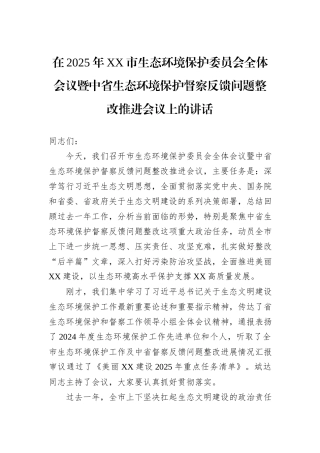 在2025年XX市生态环境保护委员会全体会议暨中省生态环境保护督察反馈问题整改推进会议上的讲话.docx