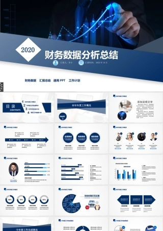 2020年财务数据分析PPT.pptx
