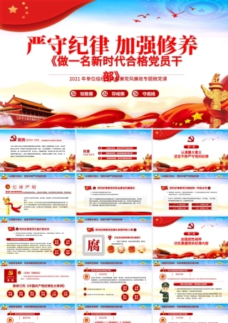 2021严守纪律加强修养PPT反腐倡廉党风廉政专题微党课之做一名新时代合格党员干部PPT模板.pptx