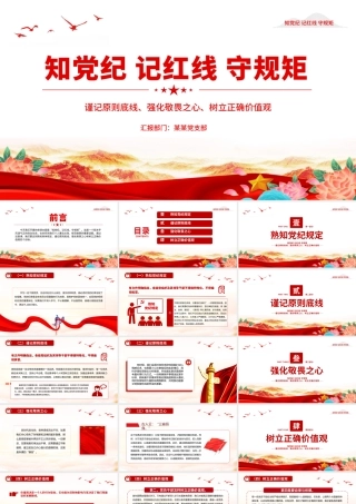 2024知党纪记红线守规矩PPT大气精美党纪学习教育微党课.pptx