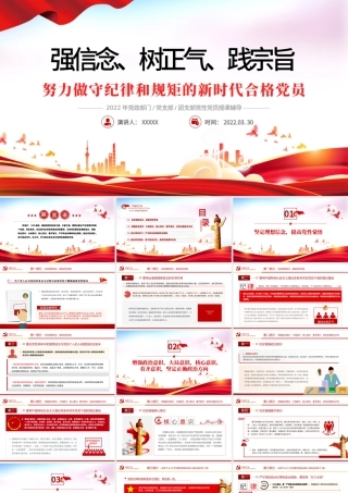 强信念树正气践宗旨PPT红色党政风努力做守纪律和规矩的新时代合格党员专题党课课件模板.pptx