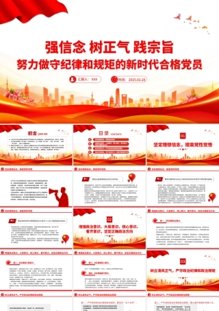 强信念树正气践宗旨努力做守纪律和规矩的新时代合格党员PPT党课.pptx