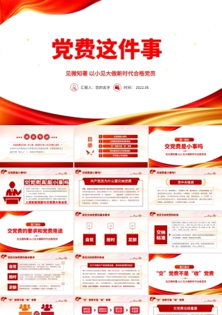 党费这件事PPT党建风以小见大做新时代合格党员专题课件模板.pptx