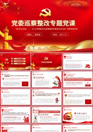 党委巡视整改PPT红色简洁党支部存在问题及整改措施民主生活会专题党课课件.pptx