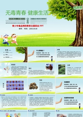 国际禁毒日无毒青春健康生活青少年毒品预防教育主题班会PPT模板.pptx