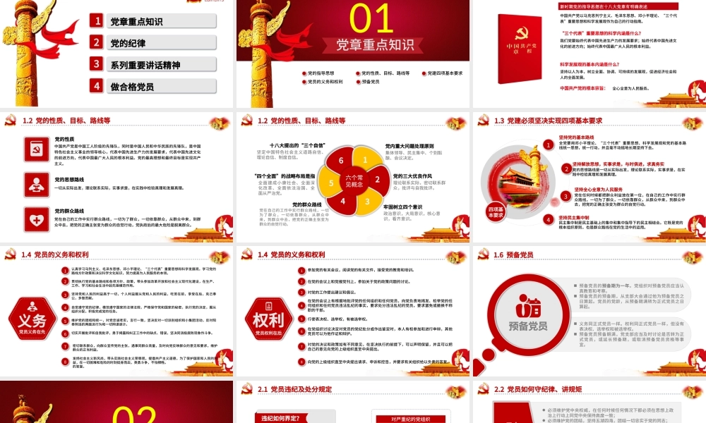 红色简约政府党委党支部党员党务基本知识学习课程党课培训ppt.pptx