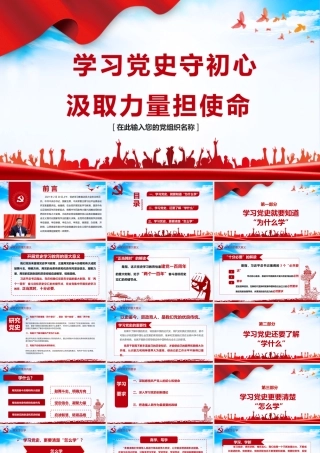 建党100周年——学习党史守初心，汲取力量担使命 (1).pptx