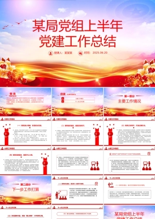精美简洁某局党组上半年党建工作总结PPT模板.pptx