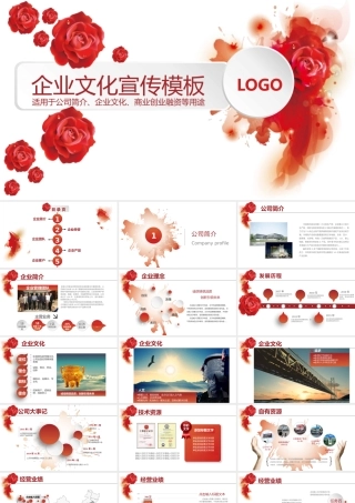企业文化宣传模板.pptx