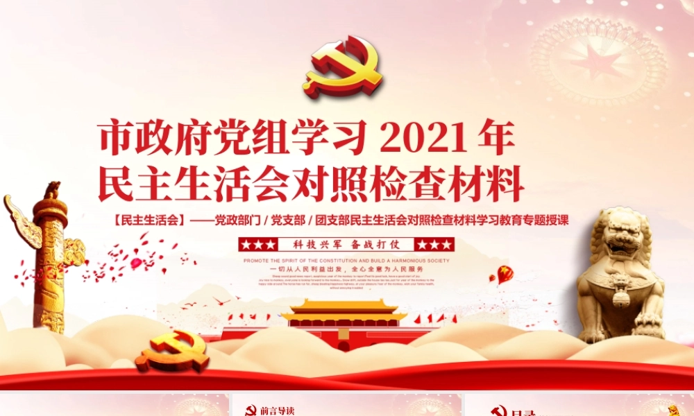 市政府党组学习2021年民主生活会对照检查材料PPT党政风党支部团支部民主生活会学习教育专题授课课件.pptx