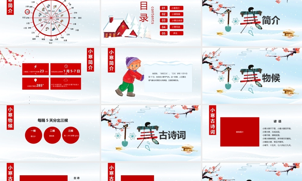 小寒1212025410.pptx