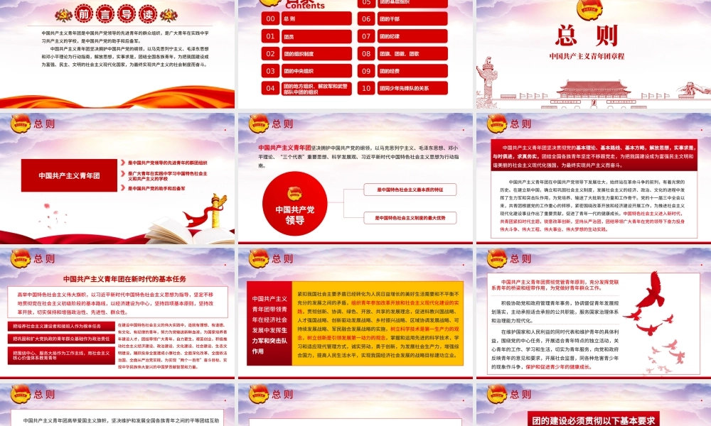 新时代的共青团员PPT深入学习中国共产主义青年团章程专题课件模板.pptx