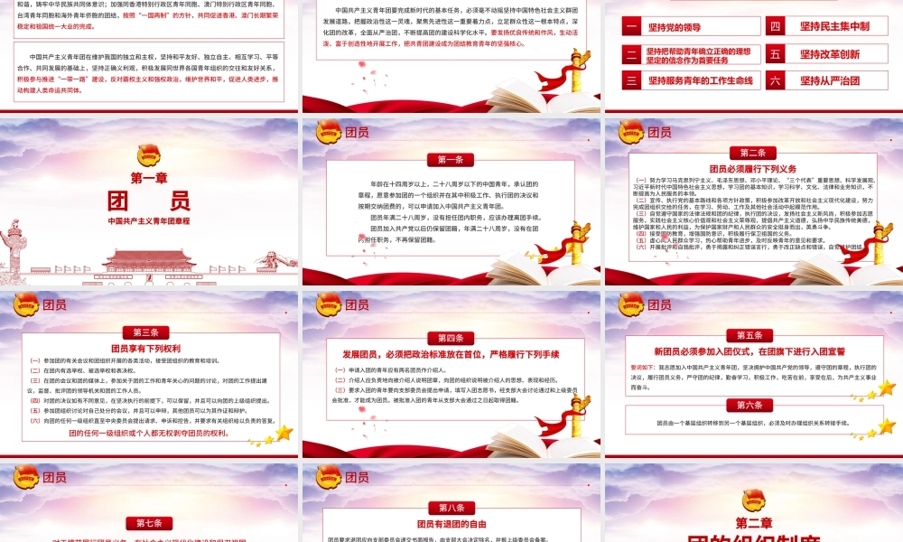 新时代的共青团员PPT深入学习中国共产主义青年团章程专题课件模板.pptx