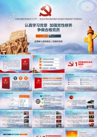 学习党章党规党支部党委两学一做做合格党员PPT.ppt