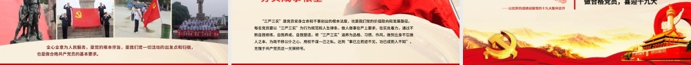 2019党委党政做合格党员PPT模板.pptx