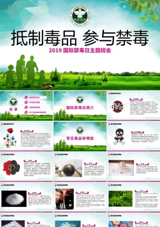 2019国际禁毒日宣传介绍主题班会ppt.pptx