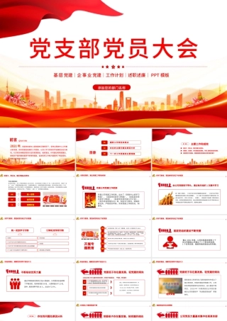 2021党支部党员大会PPT红色大气基层党组织党务工作总结问题分析及工作计划党课模板下载.pptx