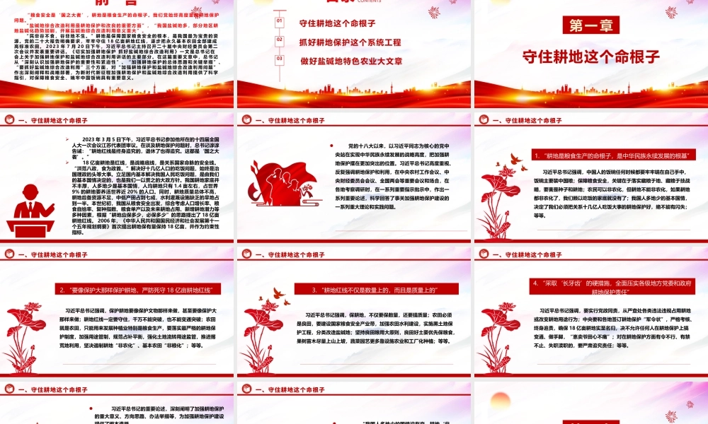 2023“像保护大熊猫一样保护耕地”ppt大气简洁耕地是保障国家粮食安全的根本党组织专题教育党课课件.pptx