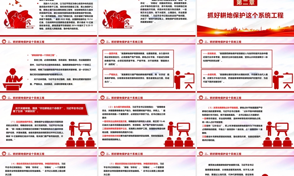 2023“像保护大熊猫一样保护耕地”ppt大气简洁耕地是保障国家粮食安全的根本党组织专题教育党课课件.pptx