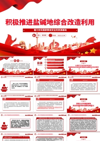 2023积极推进盐碱地综合改造利用ppt红色简洁风着力夯实国家粮食安全的资源基础党组织党支部专题党课教育课件.pptx