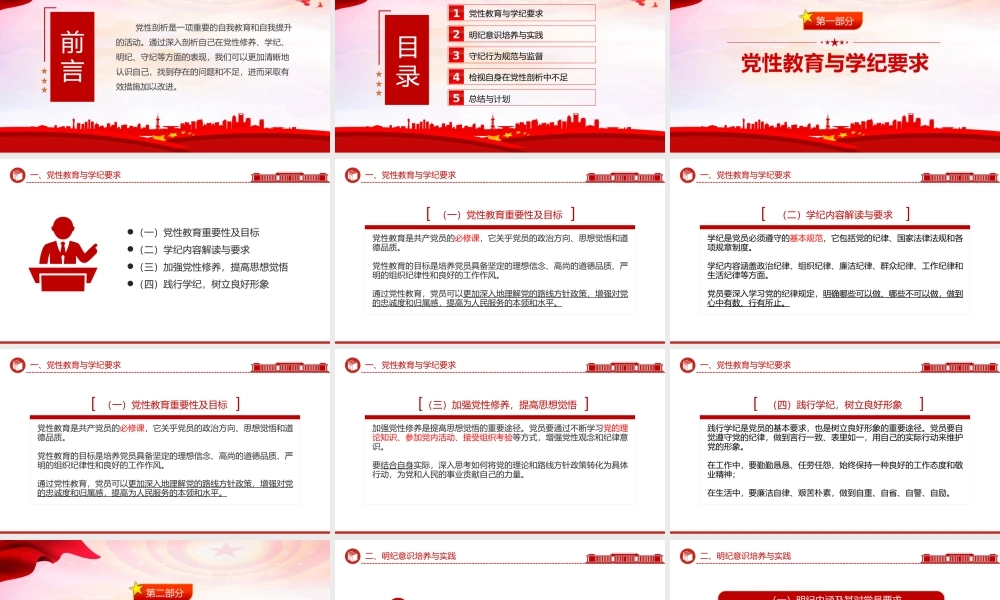 2024检视学纪明纪守纪PPT红色精美剖析之检党课课件.pptx