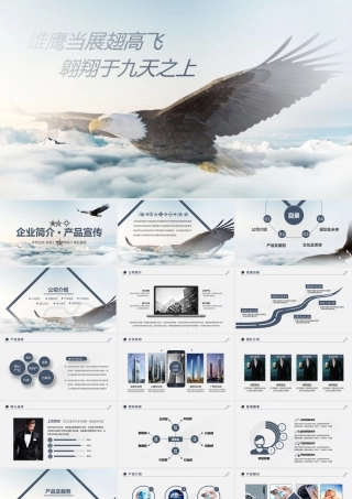 大气苍鹰企业简介产品宣传PPT模板.pptx