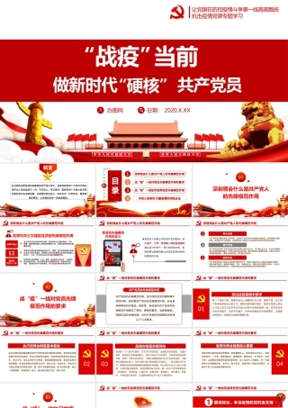 党政做新时代“硬核”共产党员党建党课ppt模板.pptx