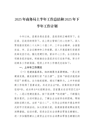 2025年商务局上半年工作总结和2025年下半年工作计划.docx