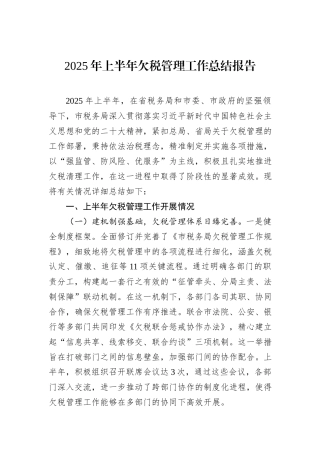 2025年上半年欠税管理工作总结报告.docx