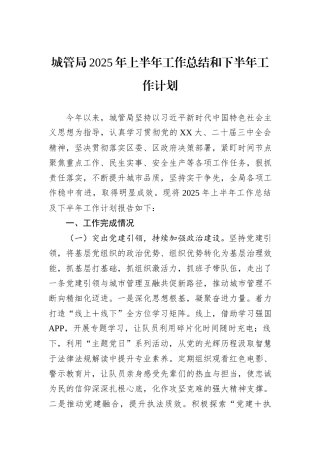 城管局2025年上半年工作总结和下半年工作计划.docx