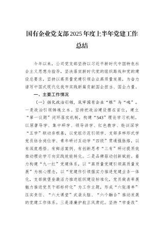 国有企业党支部2025年度上半年党建工作总结.docx