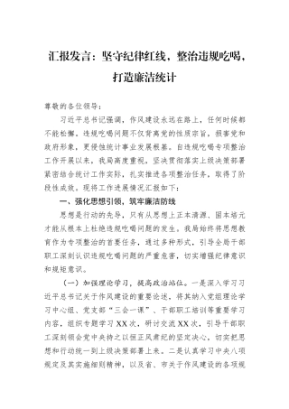 汇报发言：坚守纪律红线，整治违规吃喝，打造廉洁统计.docx