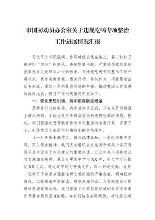 市国防动员办公室关于违规吃喝专项整治工作进展情况汇报.docx