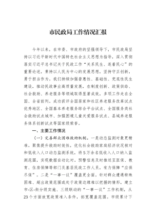 市民政局工作情况汇报.docx