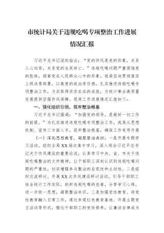 市统计局关于违规吃喝专项整治工作进展情况汇报.docx