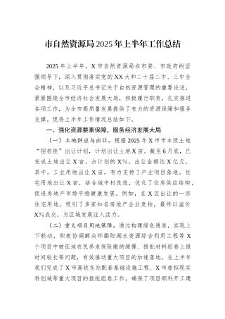 市自然资源局2025年上半年工作总结.docx
