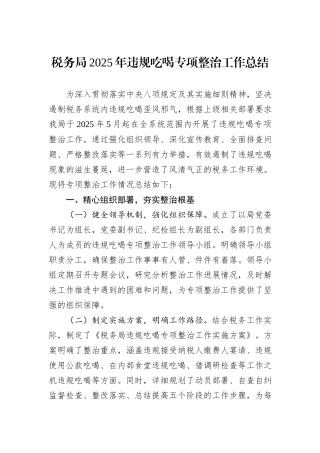 税务局2025年违规吃喝专项整治工作总结.docx